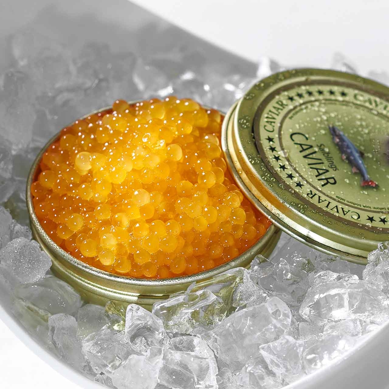 Kaviar vom Bachsaibling